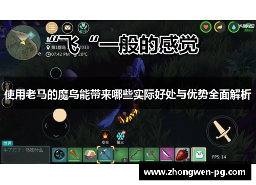 使用老马的魔鸟能带来哪些实际好处与优势全面解析 使用老马的魔鸟能带来哪些实际好处与优势全面解析