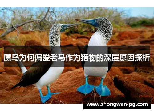 魔鸟为何偏爱老马作为猎物的深层原因探析 魔鸟为何偏爱老马作为猎物的深层原因探析