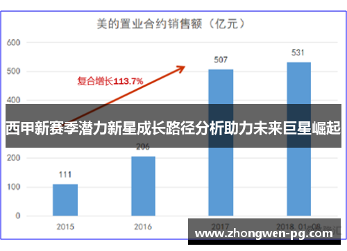 西甲新赛季潜力新星成长路径分析助力未来巨星崛起