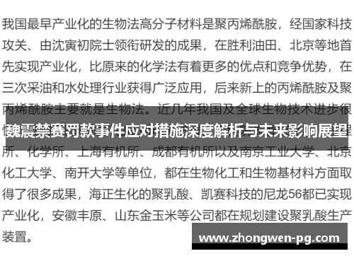 魏震禁赛罚款事件应对措施深度解析与未来影响展望
